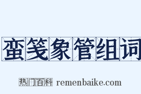 蛮笺象管组词是什么意思的图片